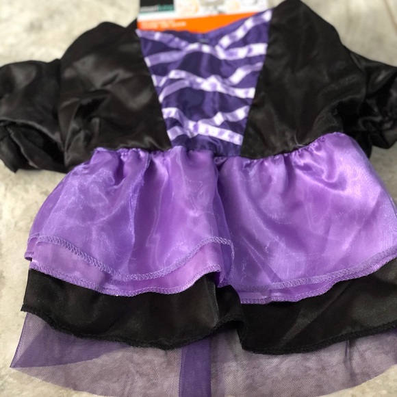 Witch Pet Costume Set - Picture 3 of 8